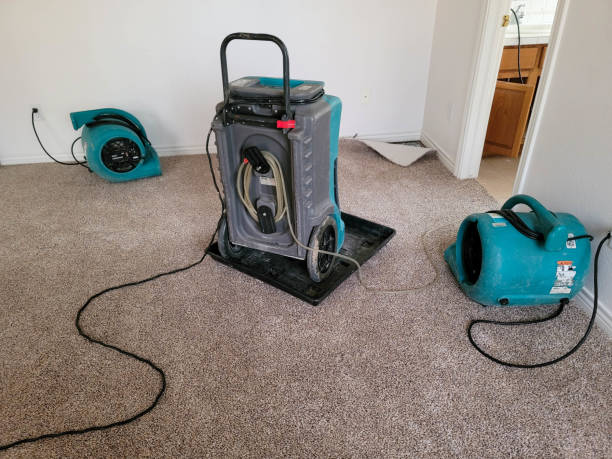 Carpet water damage restoration in MN