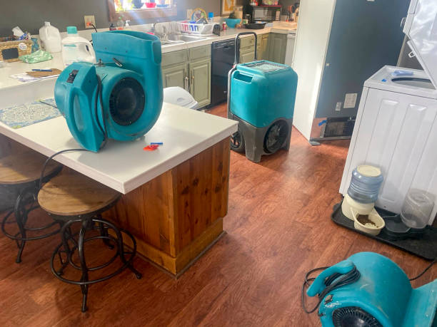 Best Local water damage restoration  in Royalton, MN