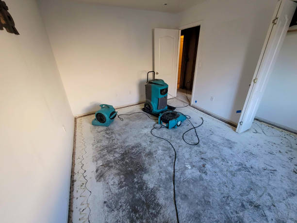 Best Water damage restoration cost  in Royalton, MN