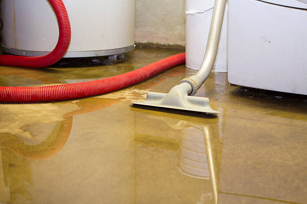  Royalton, MN Water damage restoration Pros
