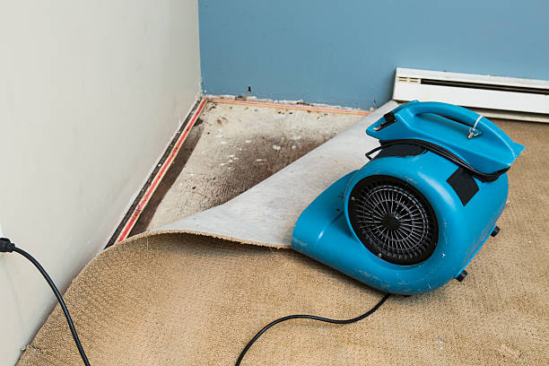 Best Fire Damage Restoration  in Royalton, MN